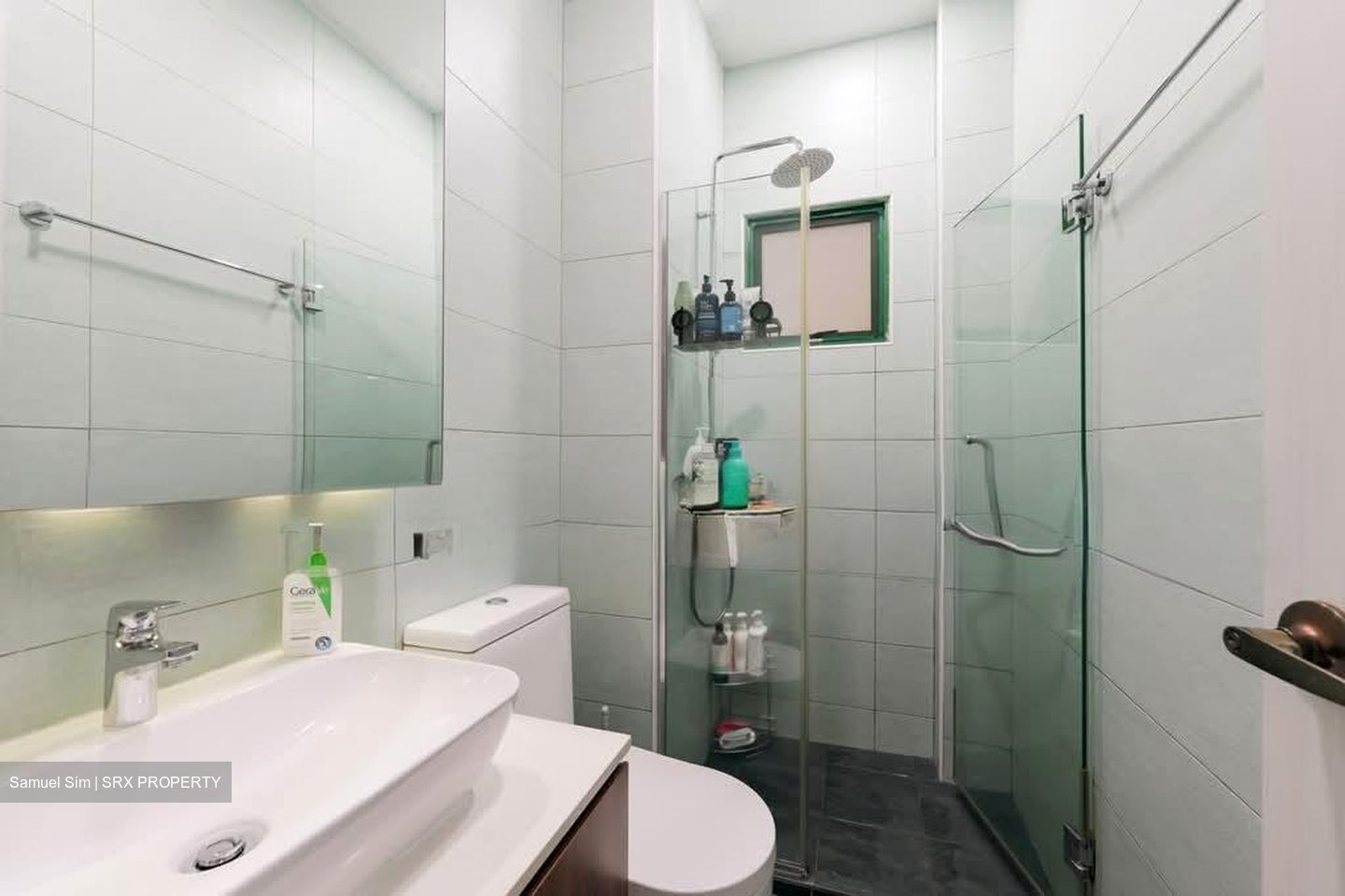 Peirce View Condominium (D20), Condominium #588903811